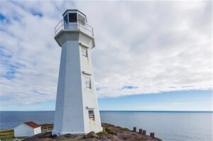 Weed sellers in Newfoundland